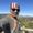 Photo of Manish A.