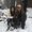 Photo of Cecy S.