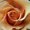 Photo of Saly Sal L.