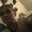 Photo of Desiree R.