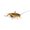 Photo of Cricket J.