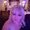 Photo of Steph D.