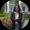 Photo of Kat C.