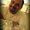 Photo of Salman H.