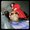 Photo of Qype User (iicecr…)