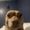Photo of Rubie J.