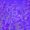 Photo of Lavender R.