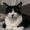 Photo of Timmy A.
