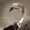 Photo of Dean E.