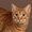 Photo of Rosalie K.