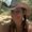 Photo of Deena M.