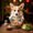 Photo of Marady H.