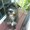Photo of Rocio G.
