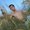 Photo of Joey L.