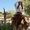 Photo of Samia Andreina A.