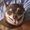 Photo of Joey K.