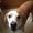 Photo of Brad J.