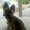 Photo of Kathy M.
