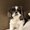 Photo of Taz S.