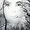 Photo of Carol J.