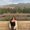 Photo of Addilene L.