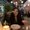 Photo of Maria M.