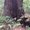 Photo of Cat T.