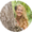 Photo of Tiina F.