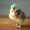 Photo of Rigel E.
