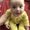Photo of JR M.