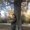 Photo of Jasmine N.