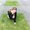 Photo of Qype User (alV…)
