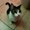 Photo of Ness N.