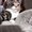 Photo of Sophie T.