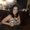 Photo of Ana J.
