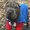 Photo of SC B.