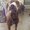 Photo of Lexi S.