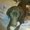 Photo of Miina H.