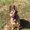 Photo of Cathi D.