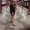 Photo of Anessa H.