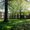 Photo of Jordan Court A.