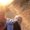 Photo of Maaike F.