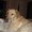 Photo of Tara M.