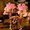 Photo of Gary G.