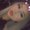 Photo of Kaylee R.
