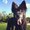Photo of Alissa N.