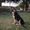 Photo of Samantha M.