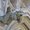 Photo of Cityvox User (vosgie…)