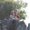 Photo of SueEllen G.