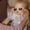 Photo of Amber L.